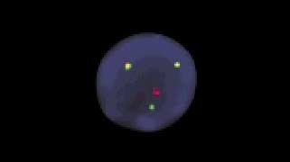 vysis-lsi-igh-ccnd1-dual-color-dual-fusion-hybridization-normal