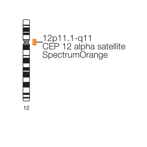 CEP 12 SPECTRUMORANGE DNA PROBE KIT