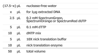 nick-translation-assay-procedure-chart.gif