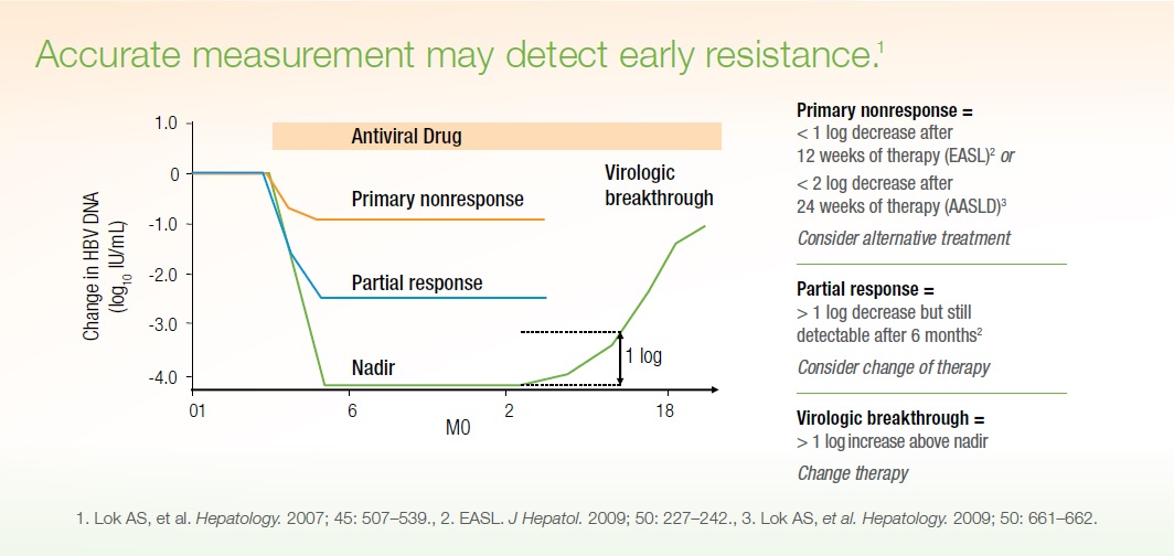 REALTIME HBV VIRAL LOAD