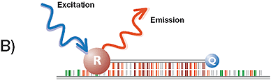 rtimehcv-sslinearprobe-2 (1)