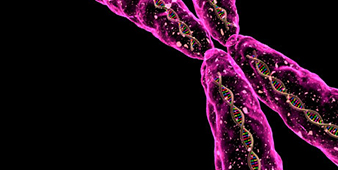 vysis chromosome image
