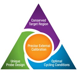 Abbott RealTime HIV-1 assay design features