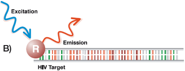 Abbott RealTime HIV-1 assay probe design