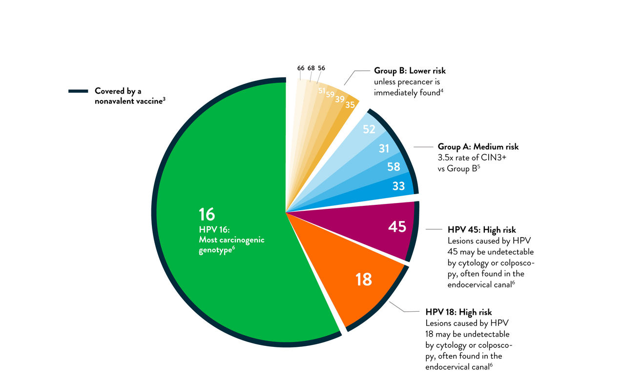 pie chart