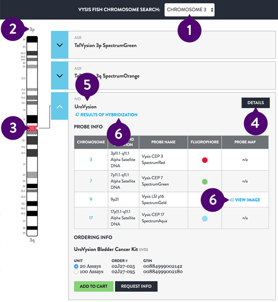 chromosome graph image